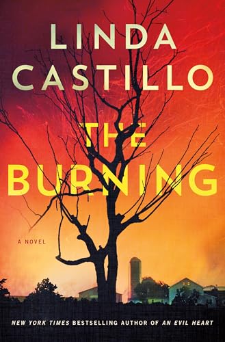 The Burning Book Cover Graphic